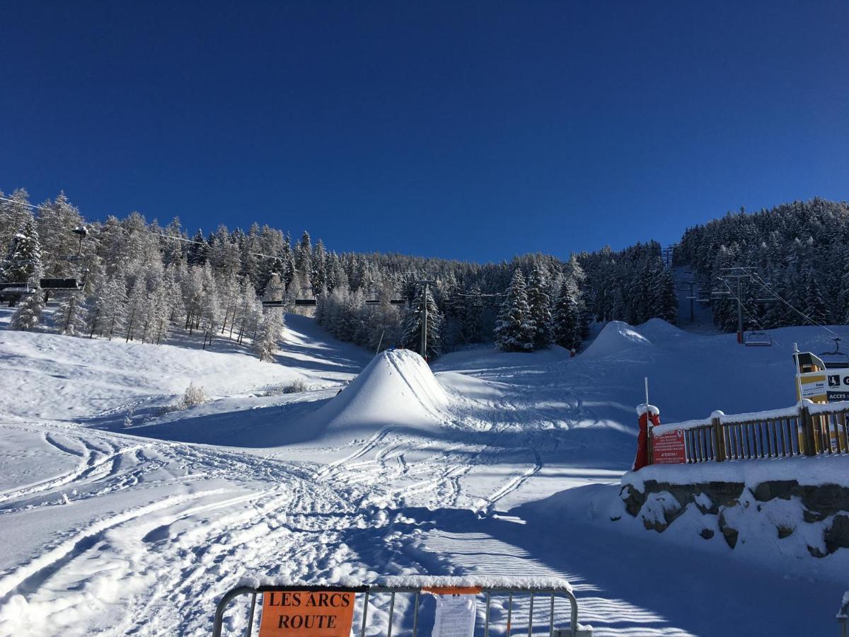 Petit Mont Blanc Guest House Peisey-Nancroix Kültér fotó